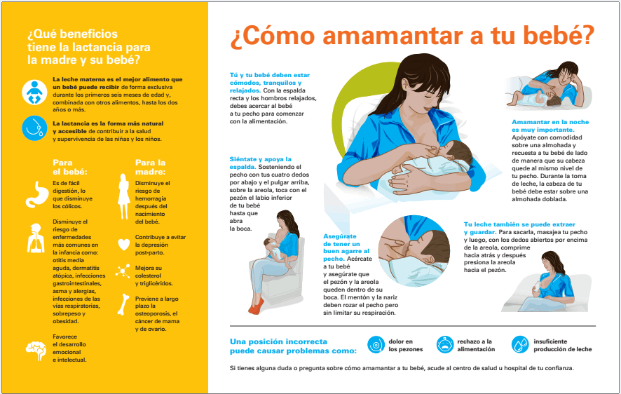 Consejos para una lactancia materna exitosa 